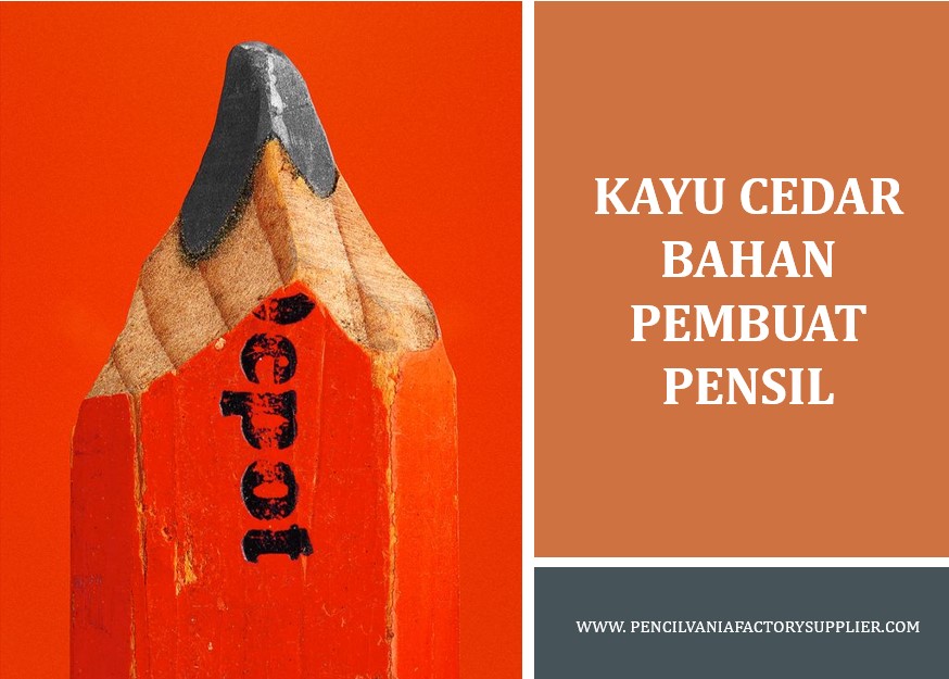 Kayu Cedar Bahan Pembuat Pensil